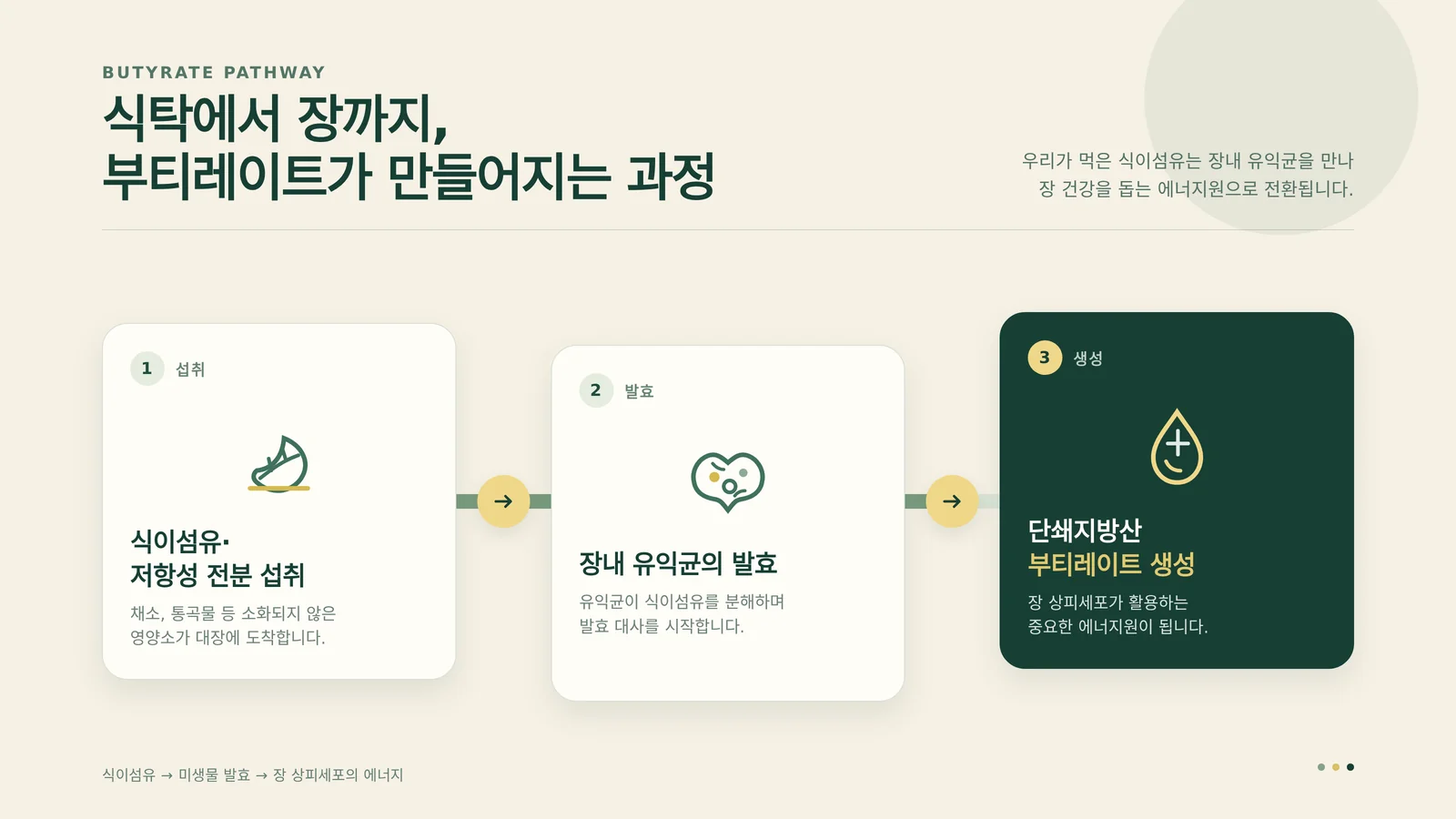 단쇄지방산 연구 동향을 정리한 안내 이미지