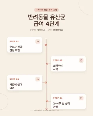 낙산균 자주 묻는 질문
