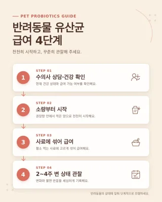 낙산균 많은 음식