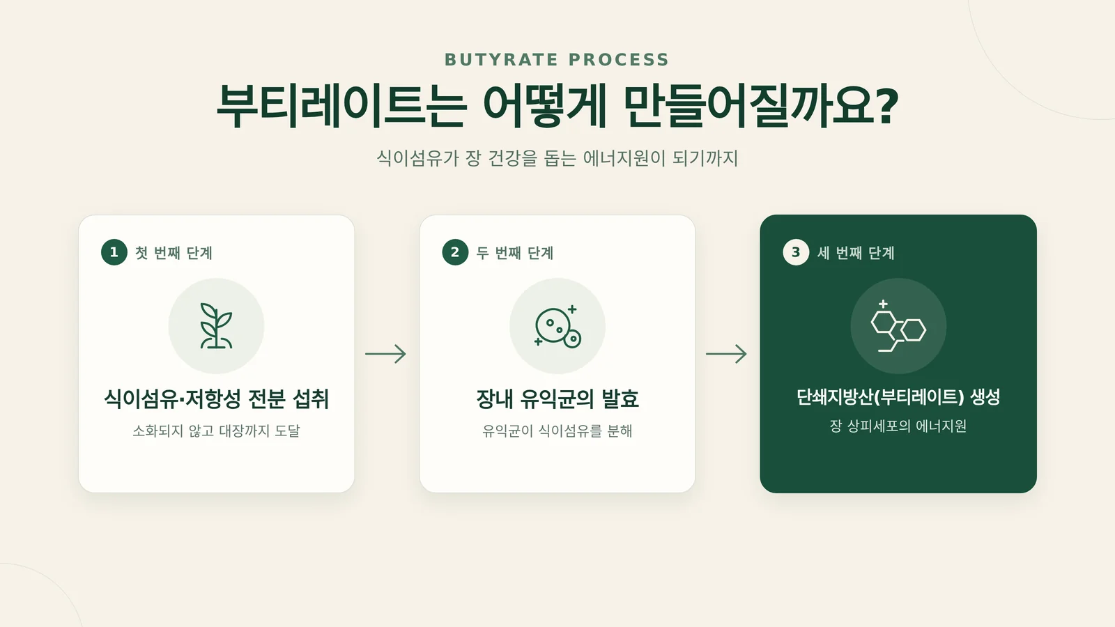 함께 채소를 손질하며 건강한 식사를 준비하는 부부 — 장 건강 식습관